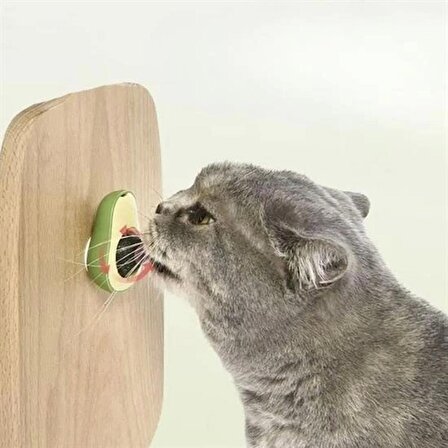 Avokado Model Yapışkanlı Kedi Oyuncağı Yenilebilir Kedi Nanesi Otu (1243)