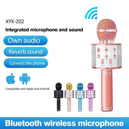 Bluetooth Karaoke Mikrofon (1243)