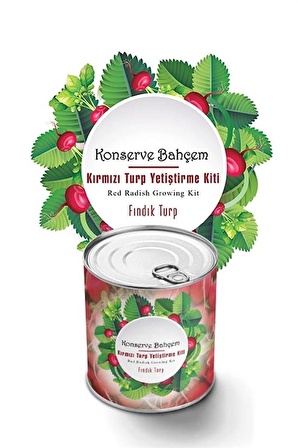 Konserve Bahçem Evde Konservede Fındık Turp Yetiştirme Kiti (1243)