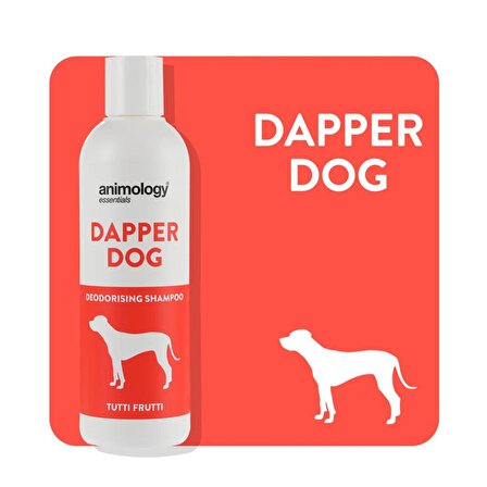Animology Essentials Dapper Dog Shampoo Köpek Şampuanı 250 ML