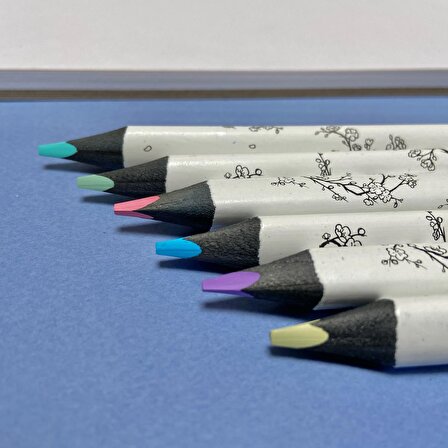 SKETCH&ART Profesyonel Kuru Boya Kalemi, Kalın Gövde, 4 mm Grafit. Bahar Manzarası 6 Renk