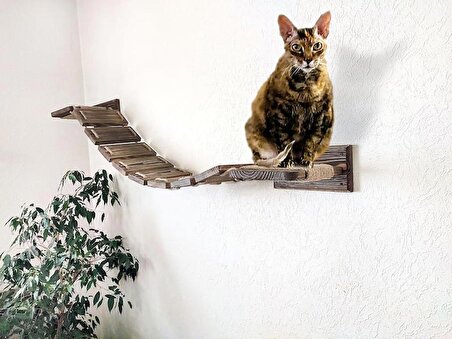 Kedi Rafları | Kedi Yatağı | Kedi Besleme Rafı |el Yapımı Ahşap Kedi Mobilyası | Kedi Duvar Köprüsü