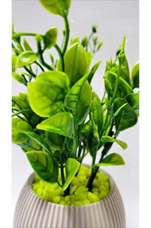 Mini Saksıda Yeşil Yapay Bitki Garnitür Yeşil Taş 17 Cm Dekoratif Banyo Mutfak Masa Çiçeği