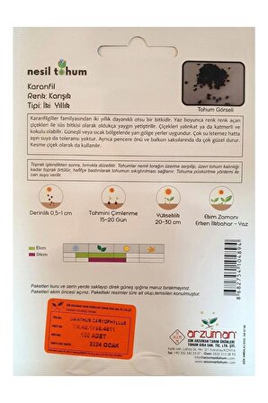 Karanfil Karışık Renkli Pakette 100 Adet Tohum