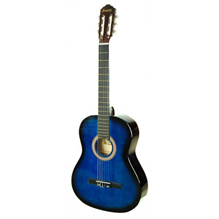 Klasik Gitar Segovia SGC1001BLS