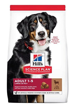 Hill's Adult Large Lamb Kuzu Etli Büyük Irk Köpek Maması 14 kg