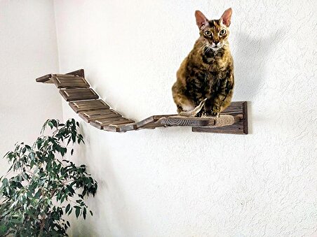 Kedi Hamağı | Duvar Için Kedi Rafları | Kedi Duvar Mobilyaları | Kedi Köprüsü