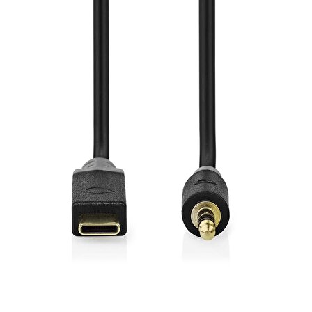 USB-C Erkek - 3.5 mm Erkek TRRS 1m Altın Kaplama Kablo
