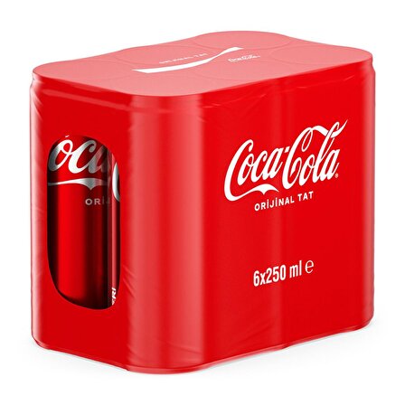 Coca Cola 250 ml 6'lı Kutu 