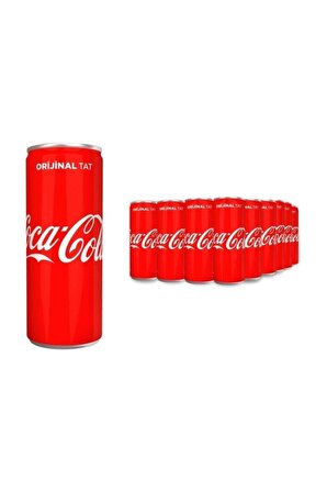 Coca Cola 250 ml Kutu 24’lü Paket