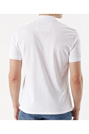 Polo Yaka Battal Beden Basic T-shirt