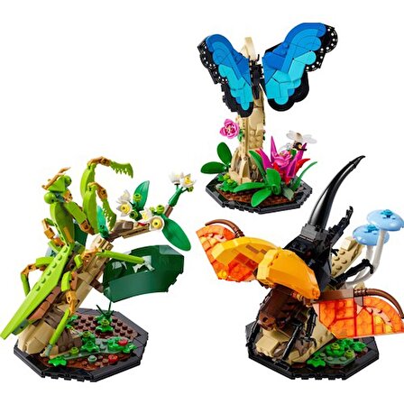 LEGO® Ideas 21342 Böcek Koleksiyonu (1111 Parça)