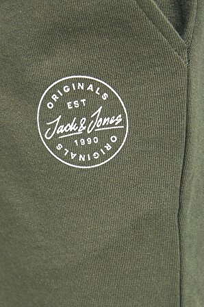 Jack & Jones Erkek Short 12182595