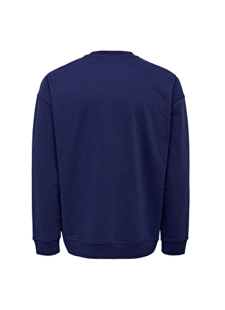 Only & Sons O Yaka Mavi Erkek Sweatshırt 22026422_ONSPEANUTS RLX CREW NECK S