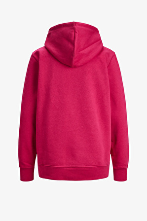 JJXX Jxabbie Rlx Ls Every Hood Swt Noos Kadın Pembe Sweatshirt 12223961-Pink