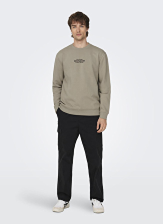 Only & Sons O Yaka Açık Kahve Erkek Sweatshırt 22027894_ONSCELEBRITY REG CREW NECK