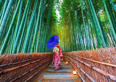 Enjoy Bambu Ormanında Asyalı Kadın 14+ Yaş Küçük Boy Puzzle 1000 Parça