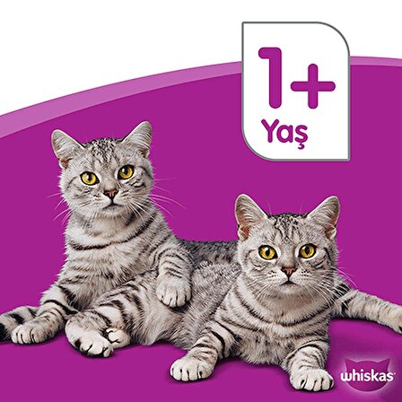 Whiskas Tavuklu ve Sebzeli 3.8 kg Yetişkin Kuru Kedi Maması