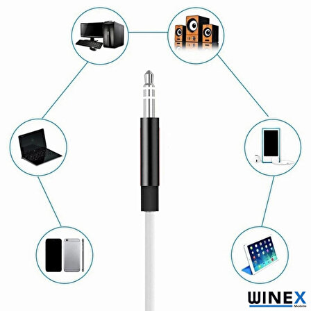 Winex JH30 Type-C to 3.5mm Aux Ses Kablosu Beyaz