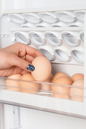 30 Adet Bölmeli ve Katlı Yumurtalık Yumurta Kutusu Eggy Box 