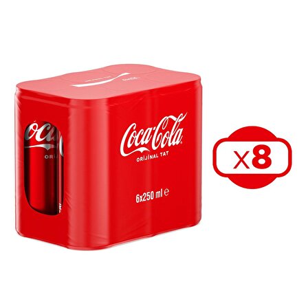 Coca Cola 250 ml 6'lı Kutu x 8 Adet
