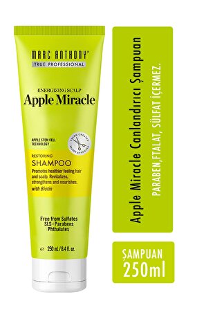 Marc Anthony Apple Miracle Tüm Saçlar İçin Dökülme Karşıtı Şampuan 250 ml