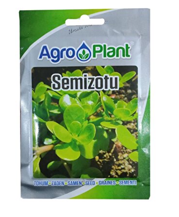 Agroplant Semizotu Tohumu 25gr Paket