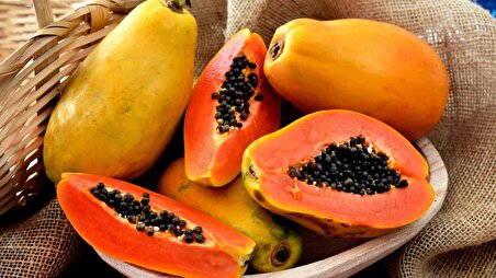 Meyve verme durumunda Papaya meyvesi fidan(boy 150cm ile 200cm)