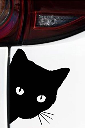Sevimli Kedi Oto Sticker Siyah 2 Adet