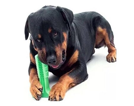 Köpek Çiğneme Diş Temizleme Kaşıma Oyuncağı HR07