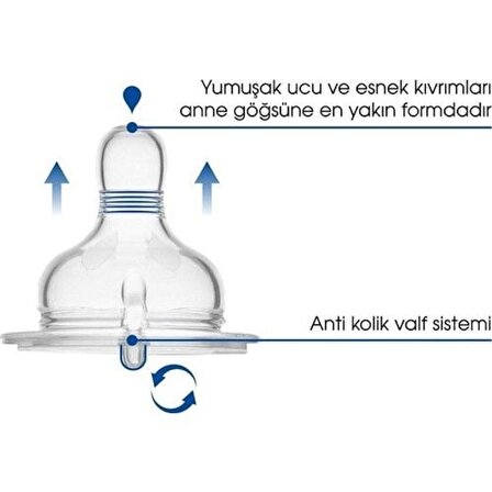 Mamajoo Saklama Kutulu Anti Kolik Cam Biberon Emziği 2li No:2 (M) 6+ Ay