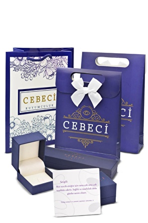 Cebeci 22 Ayar Pul Sallantılı Altın Küpe