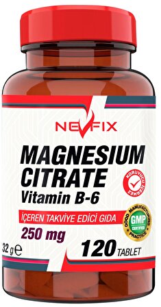 Magnesium Citrate Magnezyum 250 mg Vitamin B6 10 mg 120 Tablet