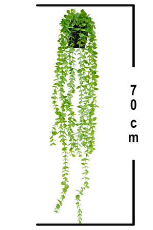Yapay Çiçek Elmas Saksıda 70 cm Yoğun Yapraklı Açık Yeşil Okaliptus Sarkıtı