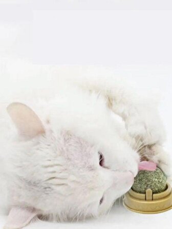 Doğal Catnipli Yenilebilir Kedi Nanesi Otu Oyun Topu Oyuncağı Top Oyuncak Kedi Yalama Topu