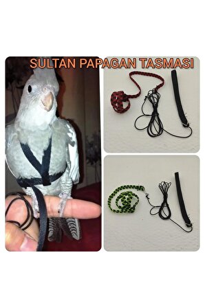 Sultan Papaganı Tasmasi