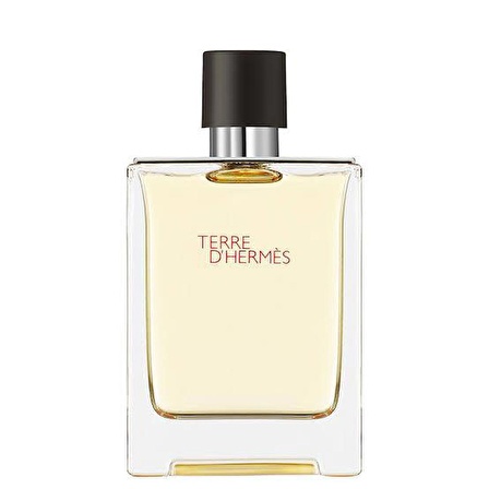 Hermes Terre D'Hermes EDT 100 ml Erkek Parfüm