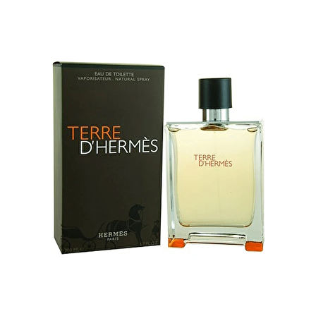 Hermes Terre D'Hermes EDT Çiçeksi Erkek Parfüm 100 ml  