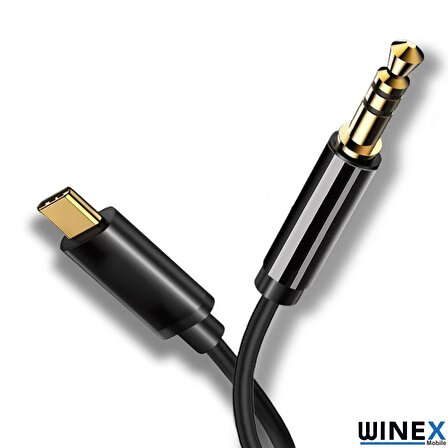 Winex AX36 Type-C to 3.5mm Aux Ses Kablosu Siyah