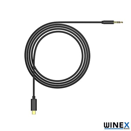 Winex AX36 Type-C to 3.5mm Aux Ses Kablosu Siyah