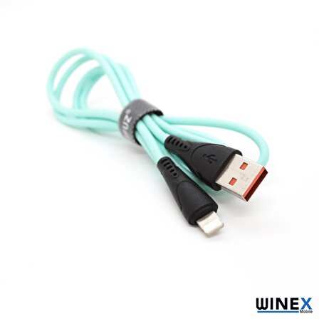 Winex GF30 USB Lightning Hızlı Data ve Şarj Kablosu 2.4A Mavi