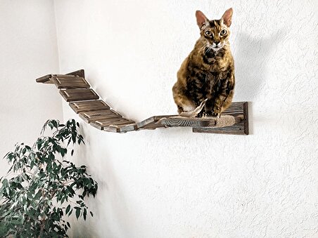 Kedi Rafları | Kedi Tırmalaması| Kedi Besleme Rafı |El Yapımı Ahşap Kedi Hamağı | Kedi Duvar Köprüsü