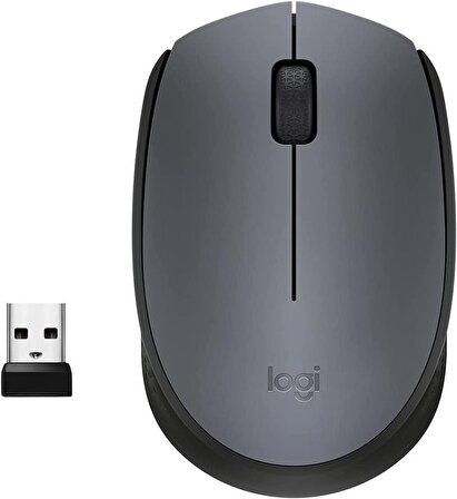 Logitech M170 Optik USB Alıcılı Kablosuz Mouse, 
