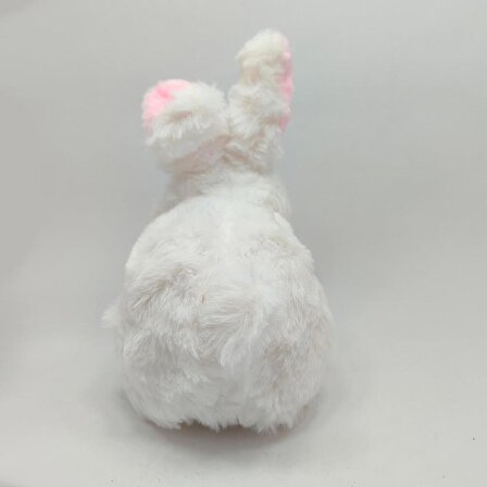 Pilli Yerde Yürüyen Sevimli Sesli Tavşan - Beyaz