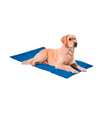 Nunbell XL Üstü Açık Serinletici Mavi Büyük Irk Köpek Yatağı