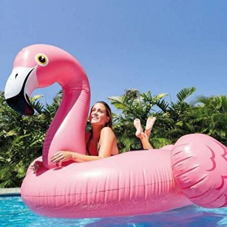 Intex Flamingo Binici ve Tutmaçlı Ada