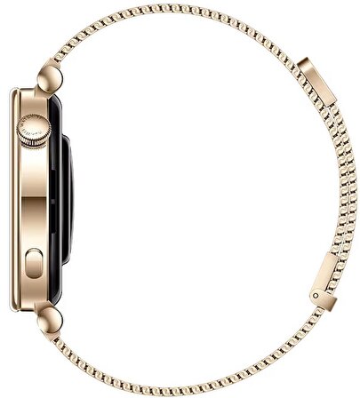 Huawei Watch GT4 Altın Akıllı Saat