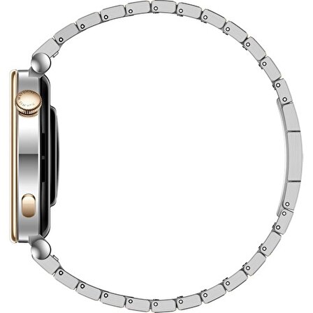 Huawei Watch GT4 Gümüş Akıllı Saat