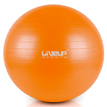 Liveup LS3222 65 Cm Pilates Topu + Pompası