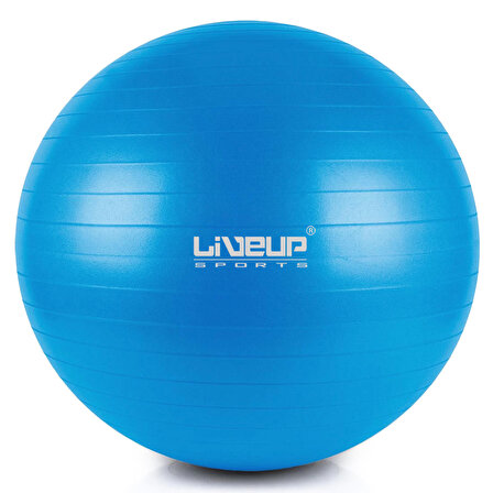 Liveup LS3222 55 Cm Pilates Topu + Pompası